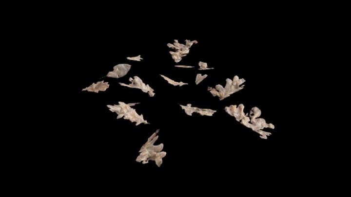 UE项目资源_模型资源_树叶126