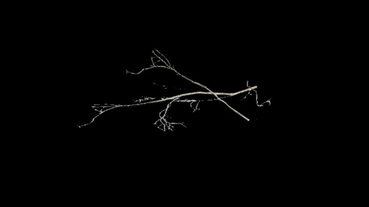 UE项目资源_模型资源_树枝296