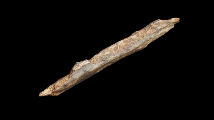 UE项目资源_模型资源_树桩137