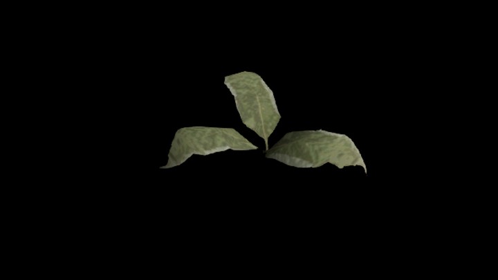 UE项目资源_模型资源_树苗058