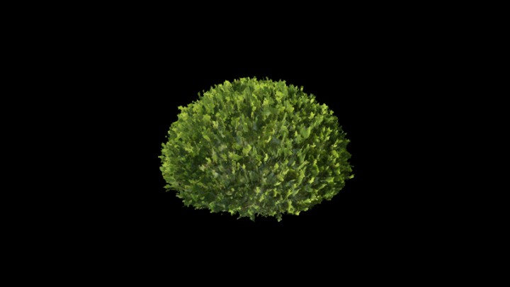 UE项目资源_模型资源_灌木183