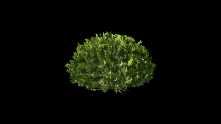 UE项目资源_模型资源_灌木184