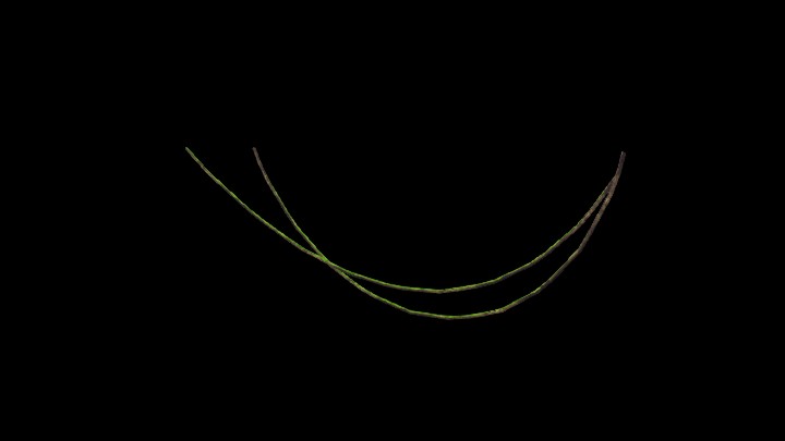 UE项目资源_模型资源_绳子156