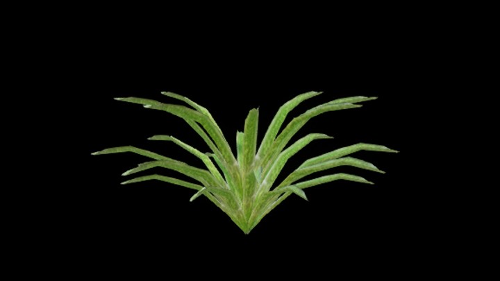 UE项目资源_模型资源_绿草003