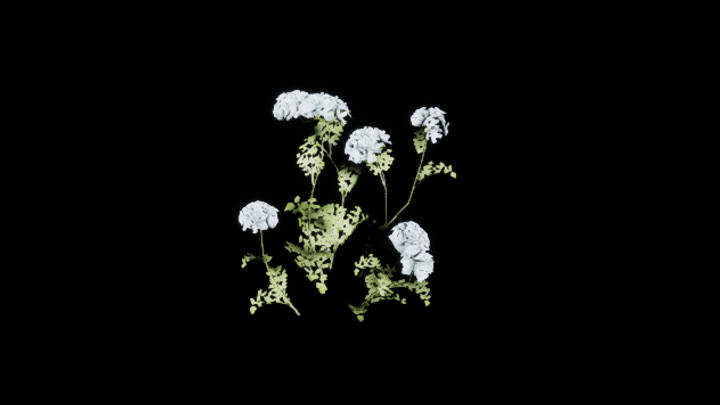 UE项目资源_模型资源_花1030