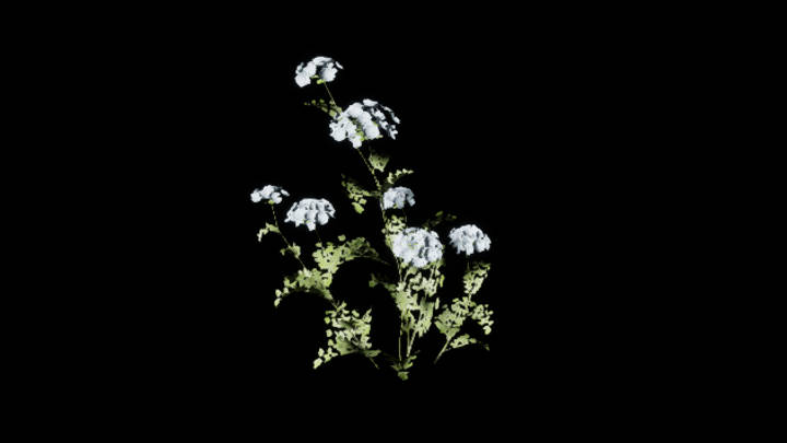 UE项目资源_模型资源_花1031