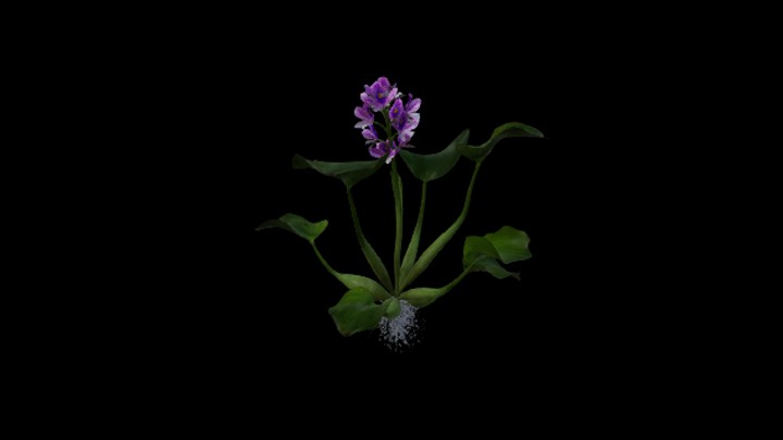 UE项目资源_模型资源_草2735