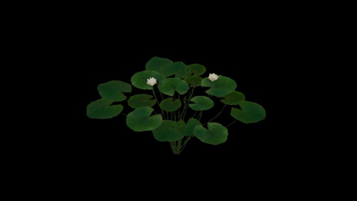 UE项目资源_模型资源_草2741