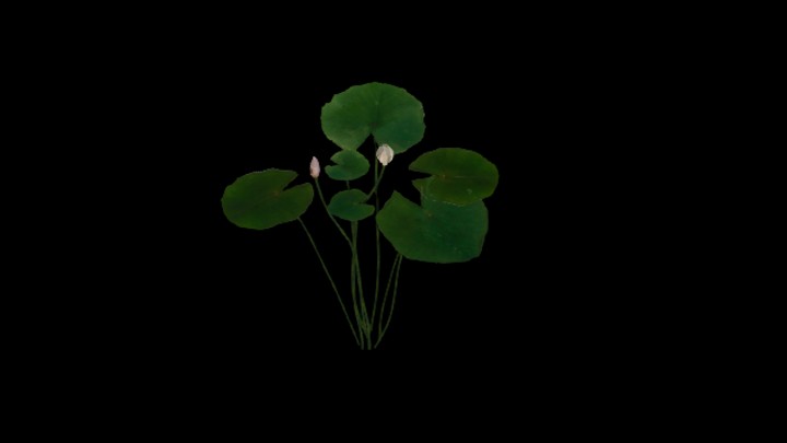 UE项目资源_模型资源_草2742