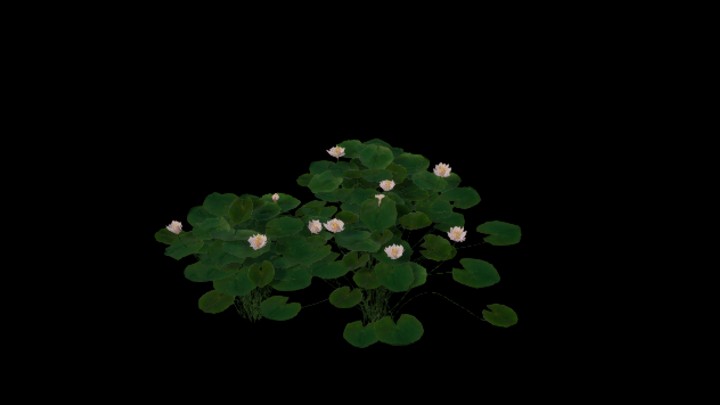 UE项目资源_模型资源_草2744