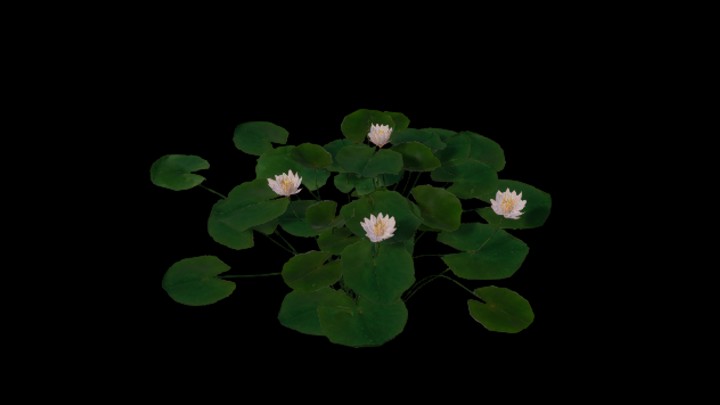 UE项目资源_模型资源_草2745