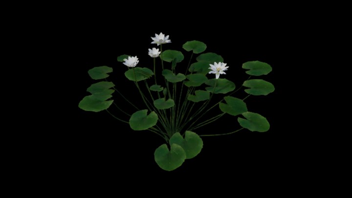 UE项目资源_模型资源_草2746