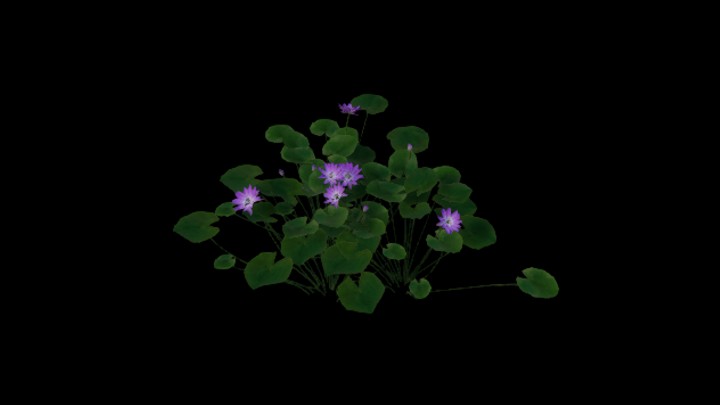 UE项目资源_模型资源_草2748