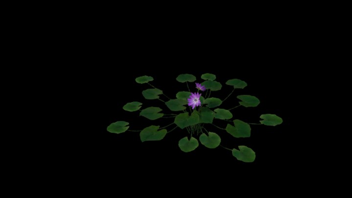 UE项目资源_模型资源_草2749