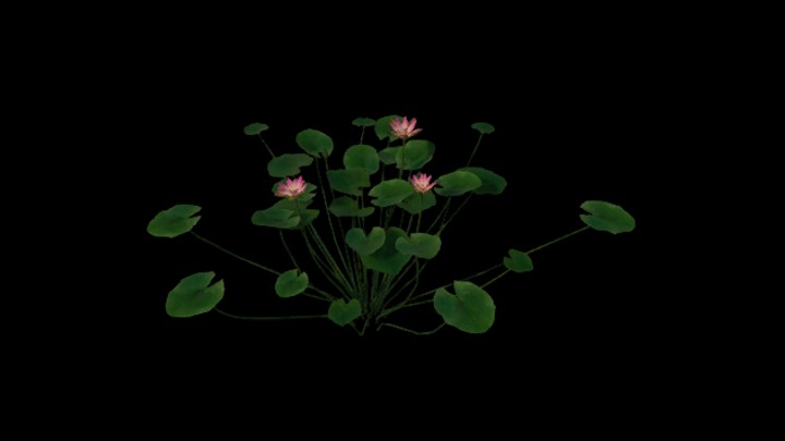 UE项目资源_模型资源_草2751