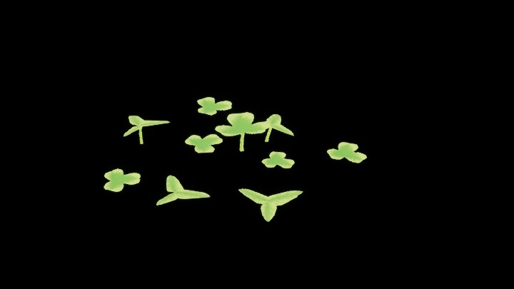 UE项目资源_模型资源_草2765