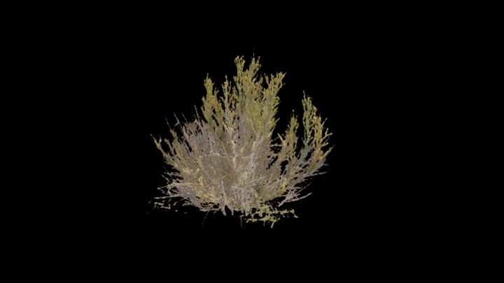 UE项目资源_模型资源_草2784