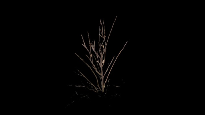 UE项目资源_模型资源_草2792