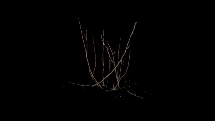 UE项目资源_模型资源_草2801