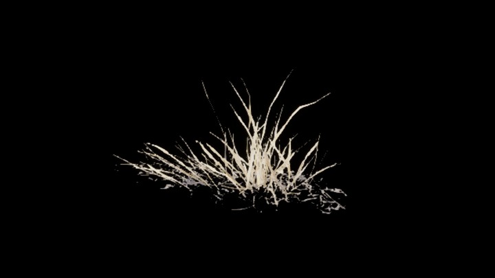 UE项目资源_模型资源_草2818