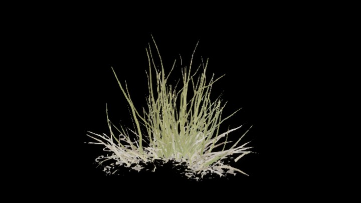 UE项目资源_模型资源_草2828