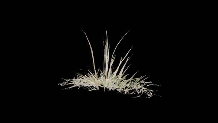 UE项目资源_模型资源_草2829