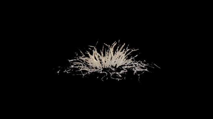 UE项目资源_模型资源_草2834