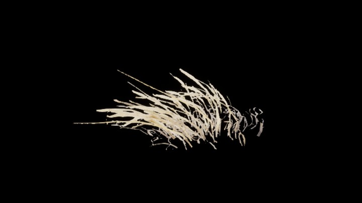 UE项目资源_模型资源_草2838