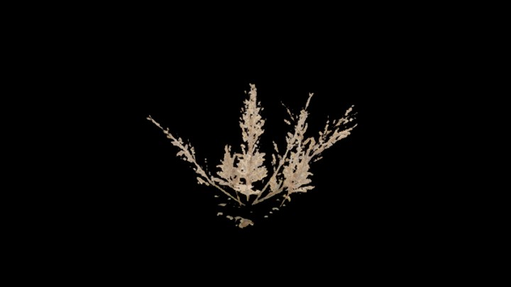 UE项目资源_模型资源_草2840