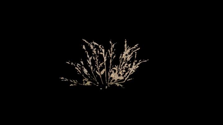 UE项目资源_模型资源_草2841