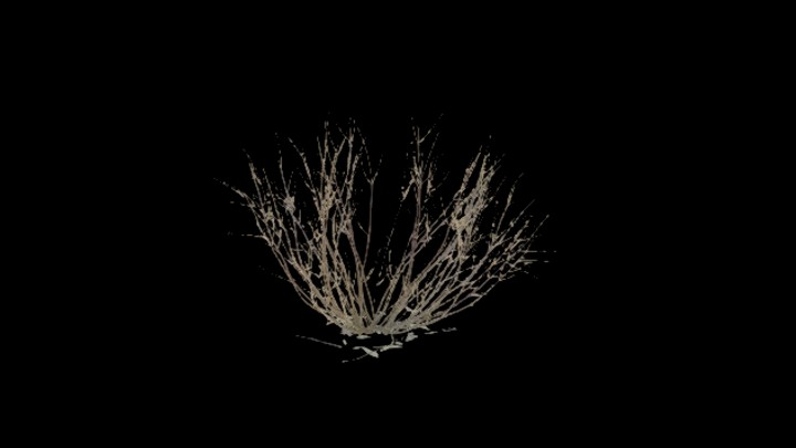 UE项目资源_模型资源_草2842