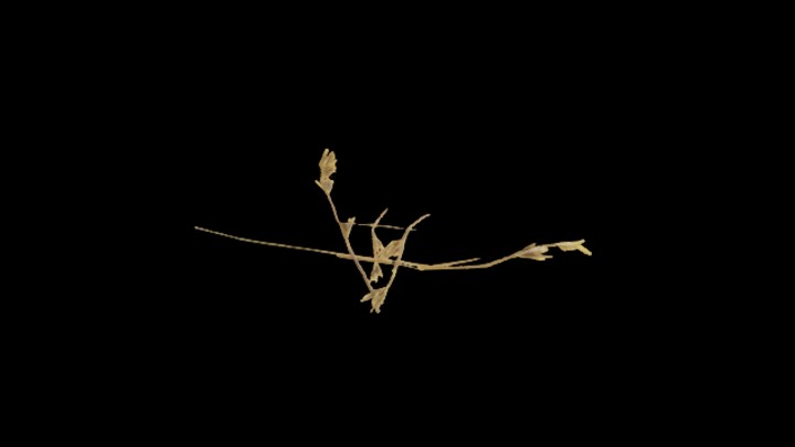 UE项目资源_模型资源_草2862