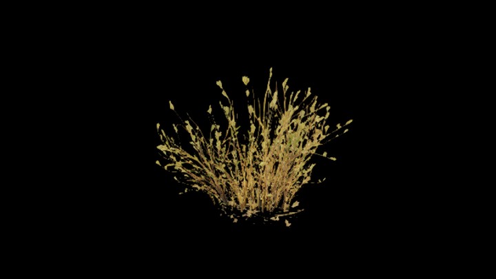 UE项目资源_模型资源_草2870