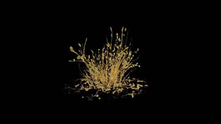 UE项目资源_模型资源_草2871