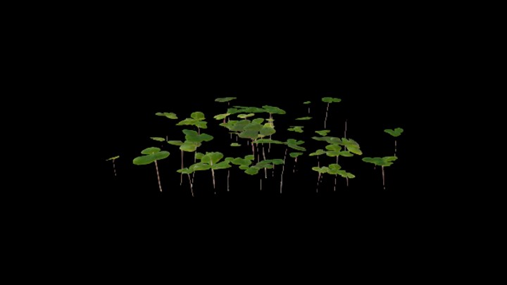 UE项目资源_模型资源_草2886