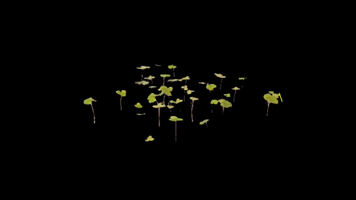 UE项目资源_模型资源_草2888