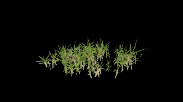 UE项目资源_模型资源_草2926