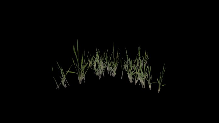 UE项目资源_模型资源_草2935