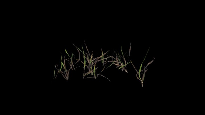 UE项目资源_模型资源_草2944