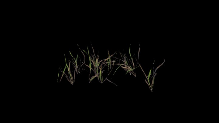 UE项目资源_模型资源_草2945