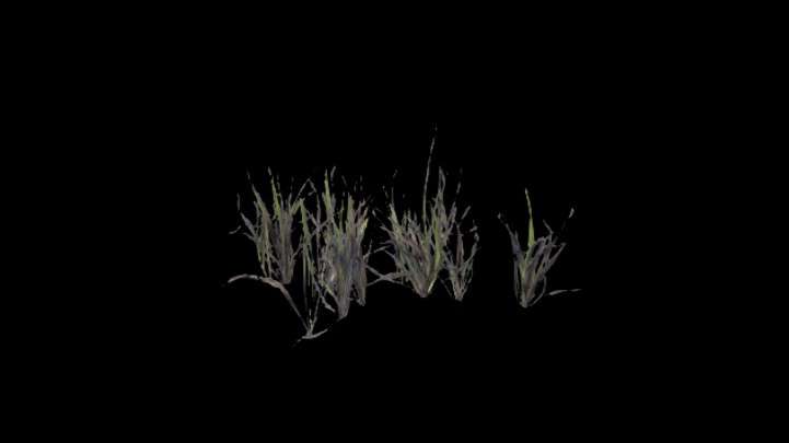 UE项目资源_模型资源_草2951