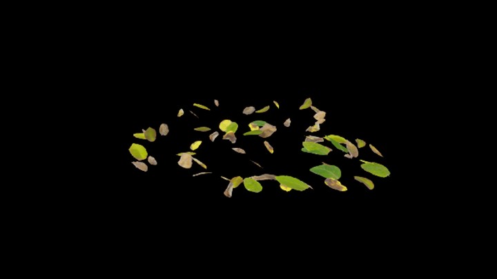 UE项目资源_模型资源_草2980