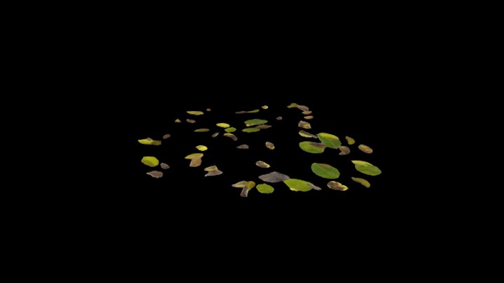 UE项目资源_模型资源_草2983