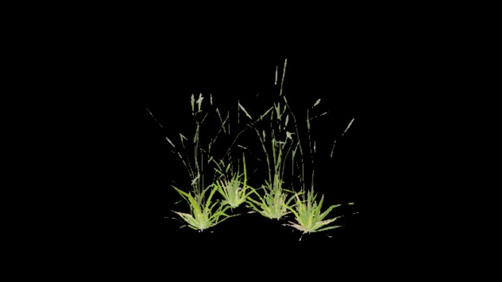 UE项目资源_模型资源_草3021