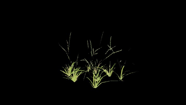 UE项目资源_模型资源_草3033