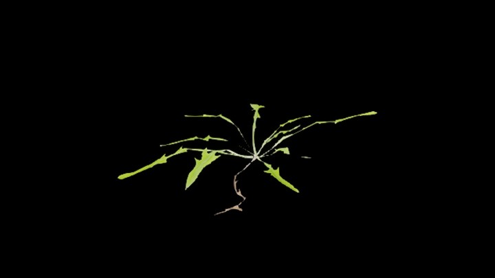 UE项目资源_模型资源_草3057