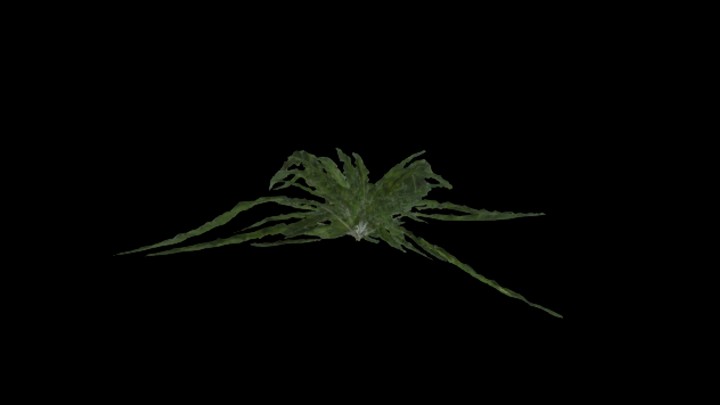 UE项目资源_模型资源_草3063