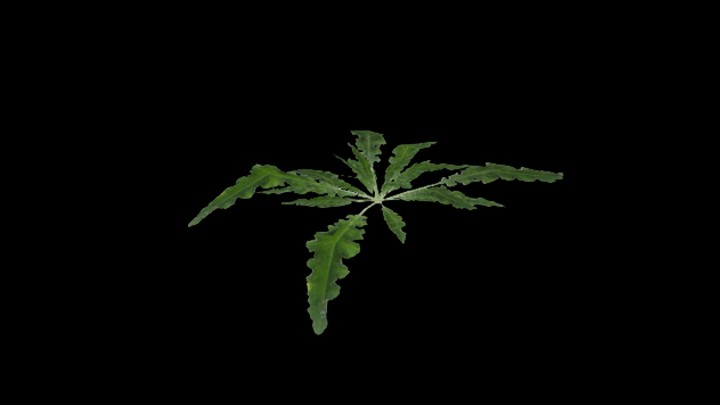 UE项目资源_模型资源_草3070