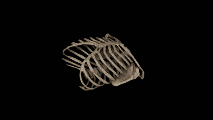 UE项目资源_模型资源_骨头176