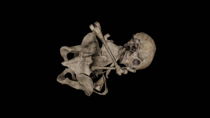 UE项目资源_模型资源_骨头178